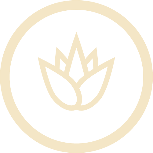 Aloe Vera icon